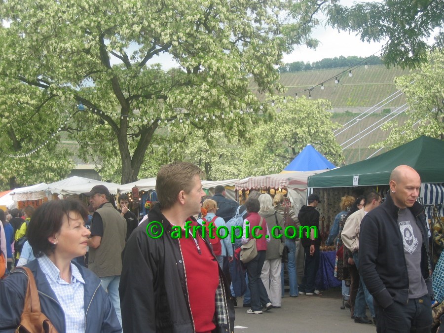 ../Images/afw2006d 274.jpg